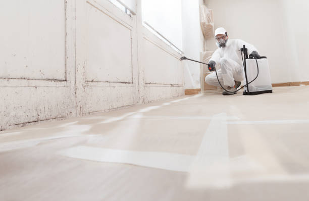 24/7 Emergency Mold Removal experts in Hendersonville, TN